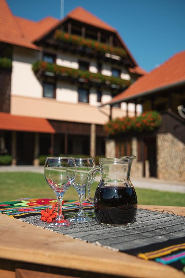 Villa Gherman Sălciua de Jos Exterior foto